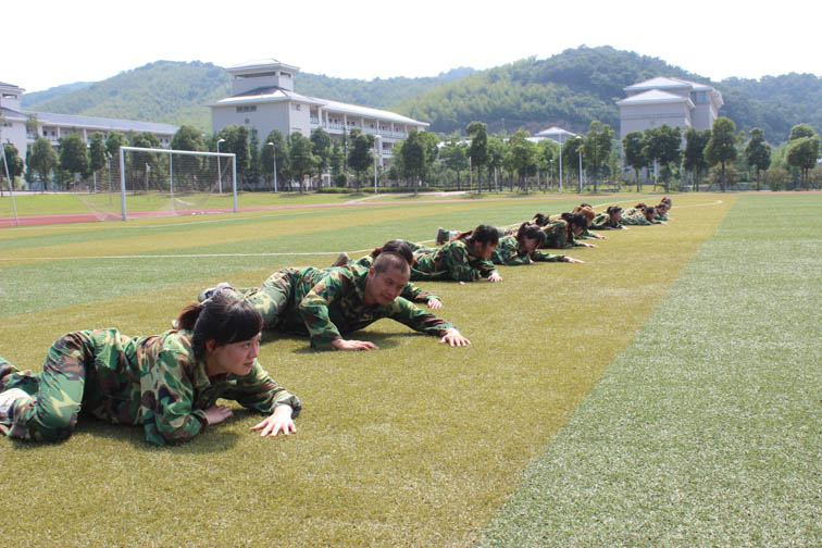 高效团队战术训练 高效团队战术训练