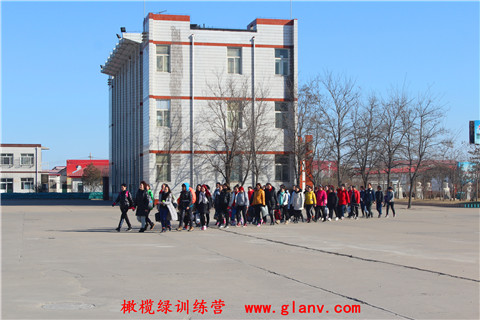 到达基地-橄榄绿训练营